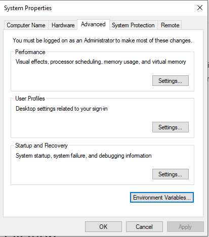 system environment variables