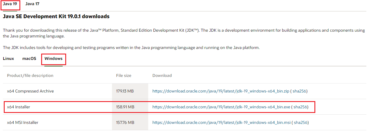 download-jdk-19-and-install-on-windows-10-64-bit-javacodepoint