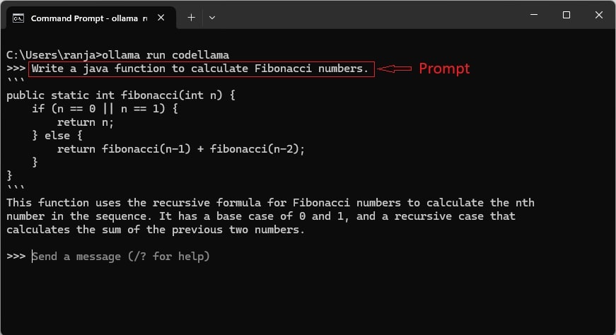 test ollama with sample prompt